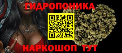 герыч Можга
